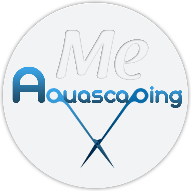 Aquascaping